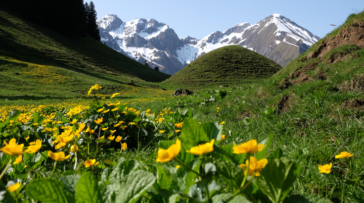 © Deutscher Alpenverein Sektion Schongau